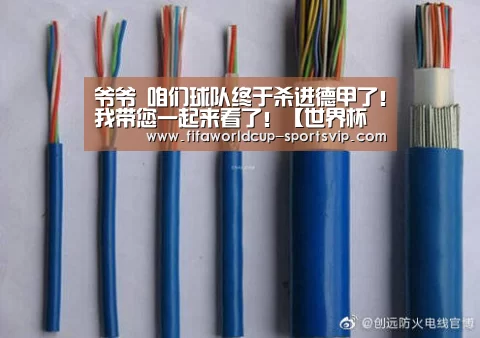 爷爷 咱们球队终于杀进德甲了!我带您一起来看了!【世界杯电竞】(图2) 世界杯电竞