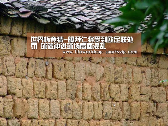 世界杯竞猜-曝拜仁将受到欧足联处罚 球迷冲进球场局面混乱(图2) 世界杯电竞