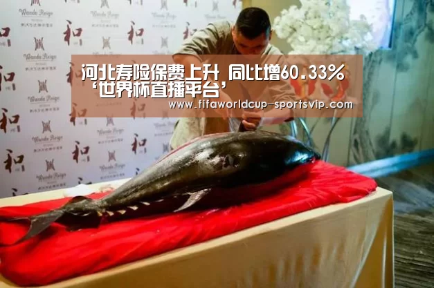 河北寿险保费上升 同比增60.33%‘世界杯直播平台’(图1) 世界杯电竞