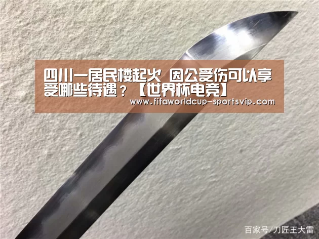 四川一居民楼起火 因公受伤可以享受哪些待遇?【世界杯电竞】(图1) 世界杯官方入口