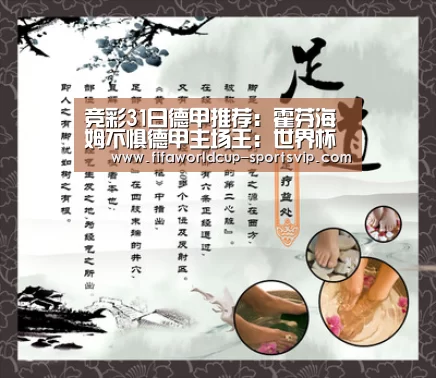 竞彩31日德甲推荐:霍芬海姆不惧德甲主场王:世界杯竞猜(图2) 世界杯直播平台