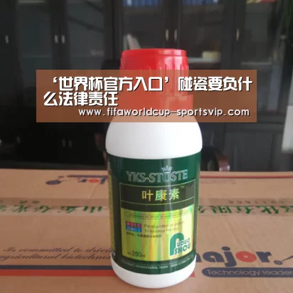 ‘世界杯官方入口’碰瓷要负什么法律责任(图3) 世界杯电竞